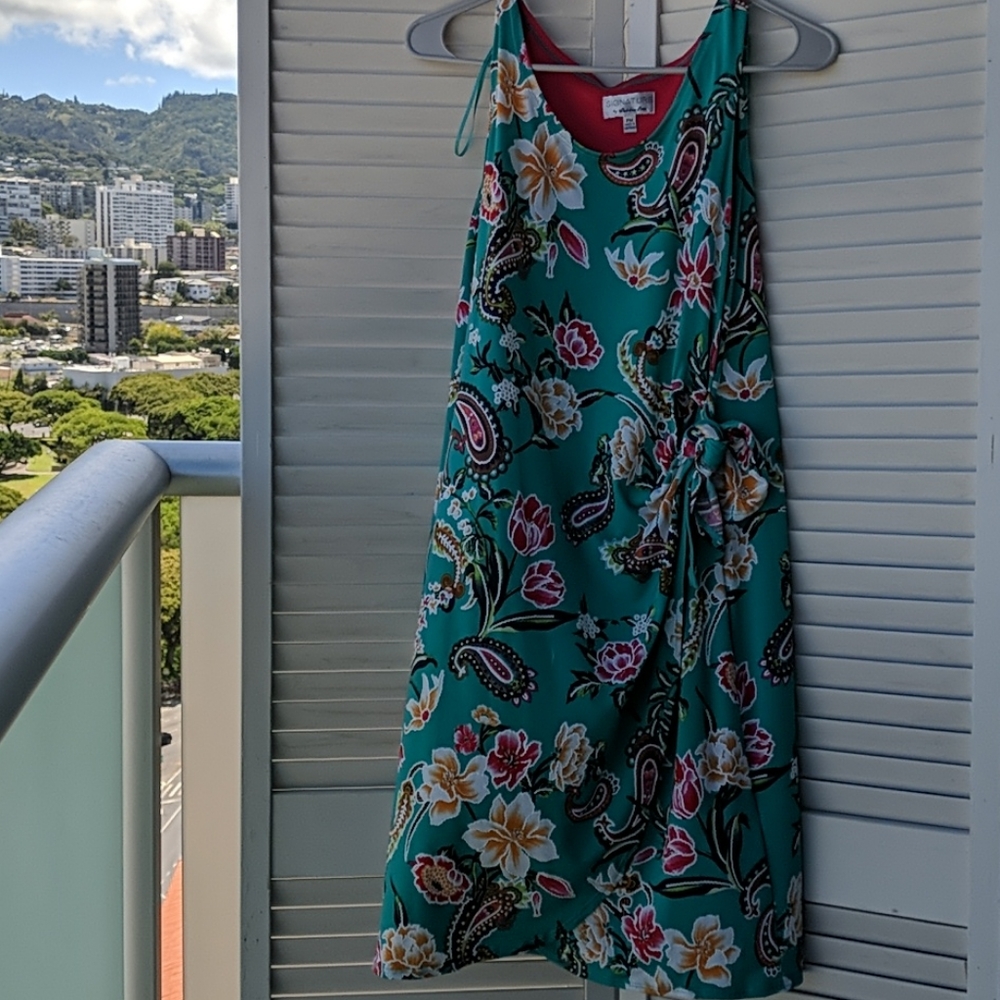 Robbie Bee Signature spring dress